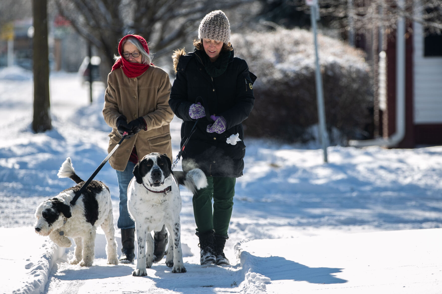 011622-owh-new-snow-LS008.JPG